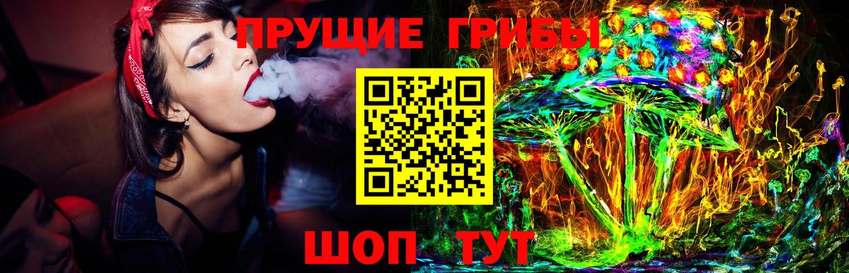 Галлюциногенные грибы Psilocybe Луховицы